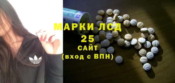 дживик Богородск