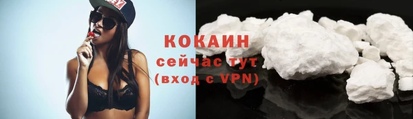 a pvp Бородино