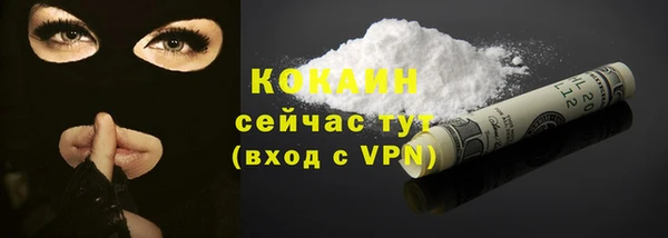 a pvp Бородино