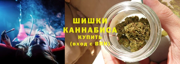 твердый Осинники