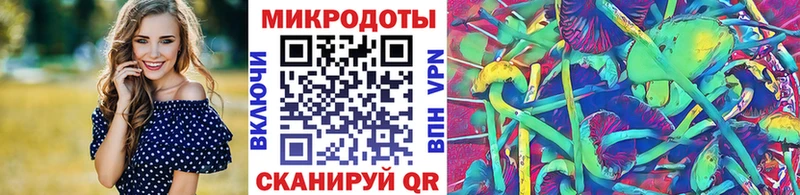 закладки  Приволжский  Псилоцибиновые грибы мицелий 